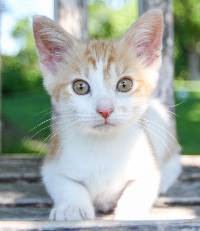 685965a573bce425d151a9fe