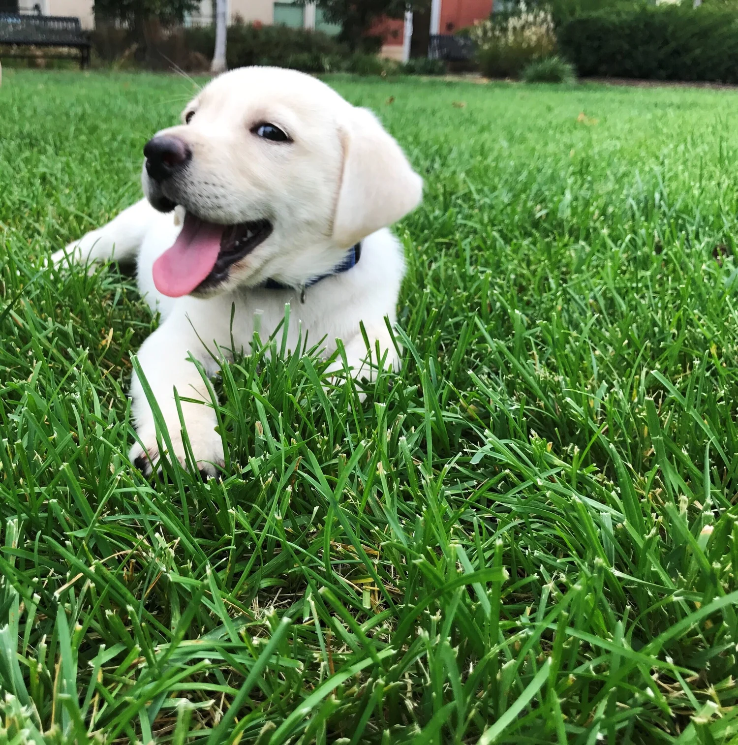 Alexandra++Flood+-+5F975129-ABDA-4058-BF9F-3331AF4A80D8