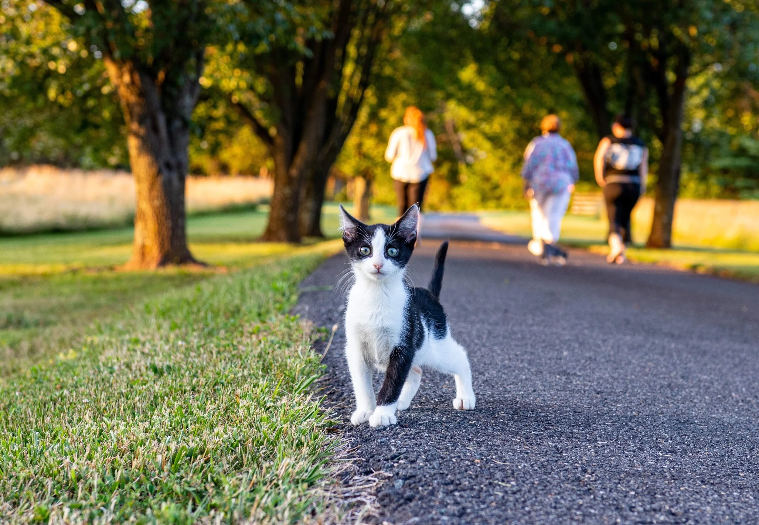 Anna+Boling+-+86C4D4F6-DD8C-4C09-8F1D-4FD672819920