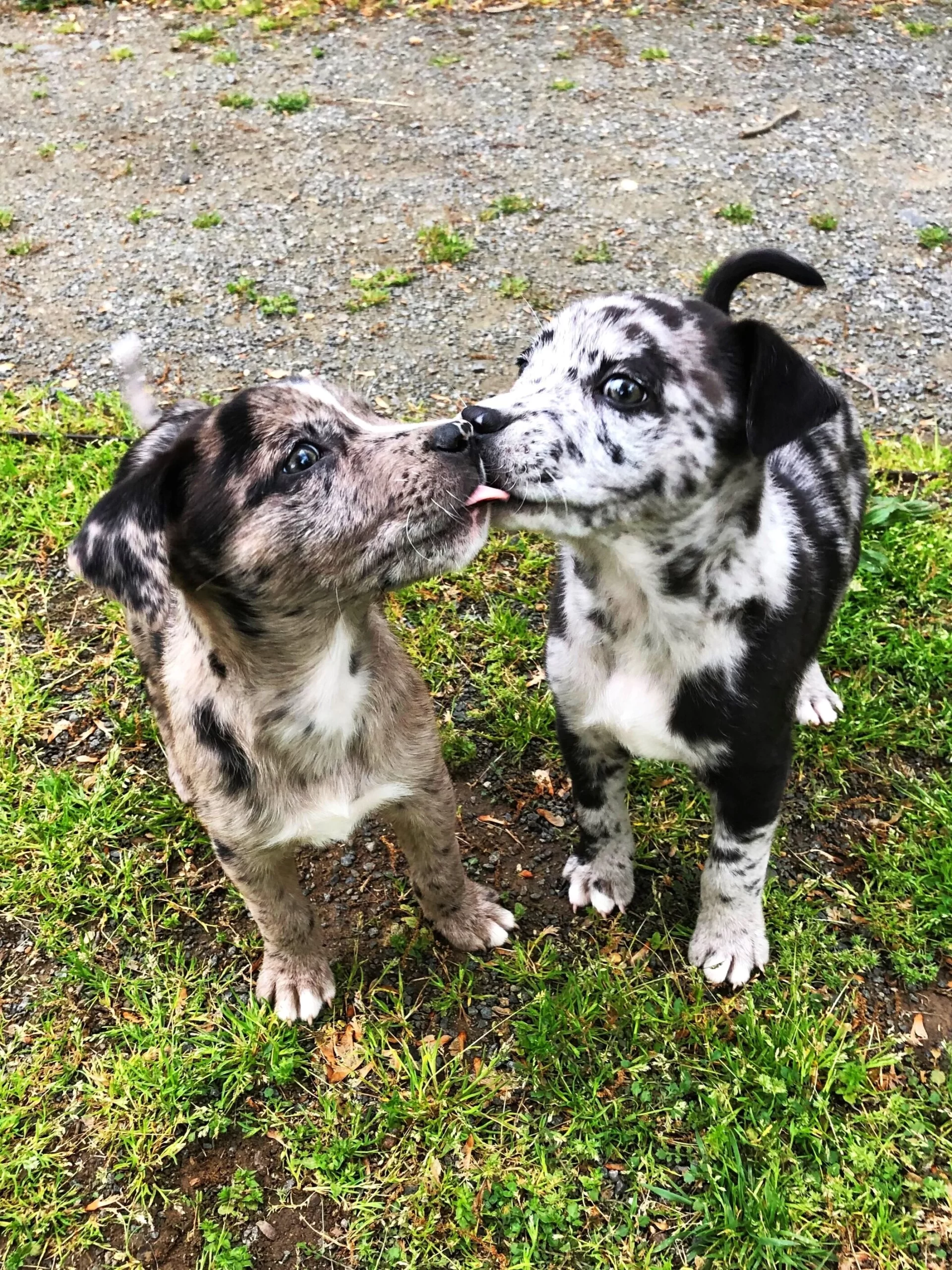 Gabriela+Benavides+-+509DFC1E-9FF5-42BB-81B3-DD783D846D36