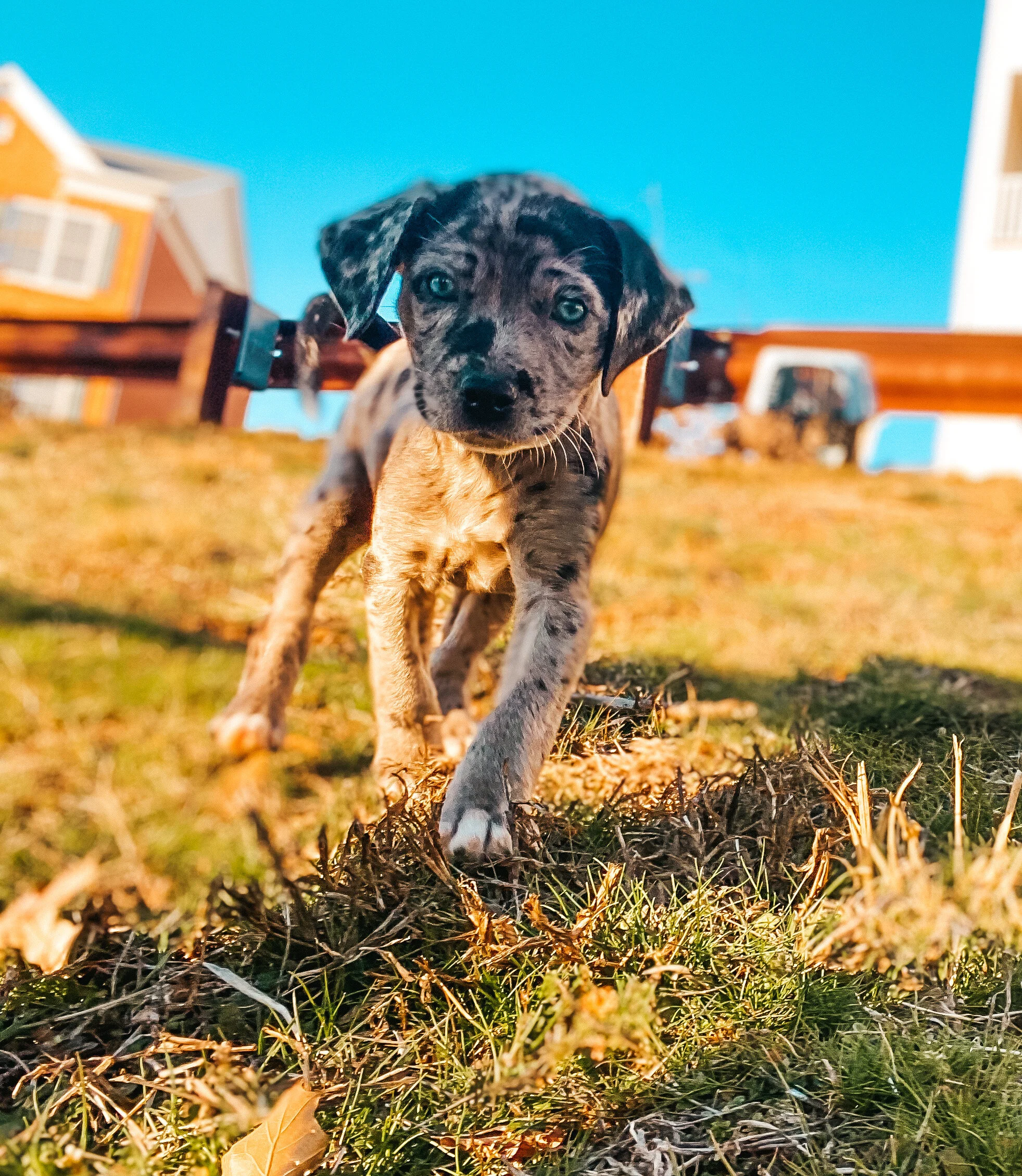 Jenny+Campanilla+-+IMG_5472