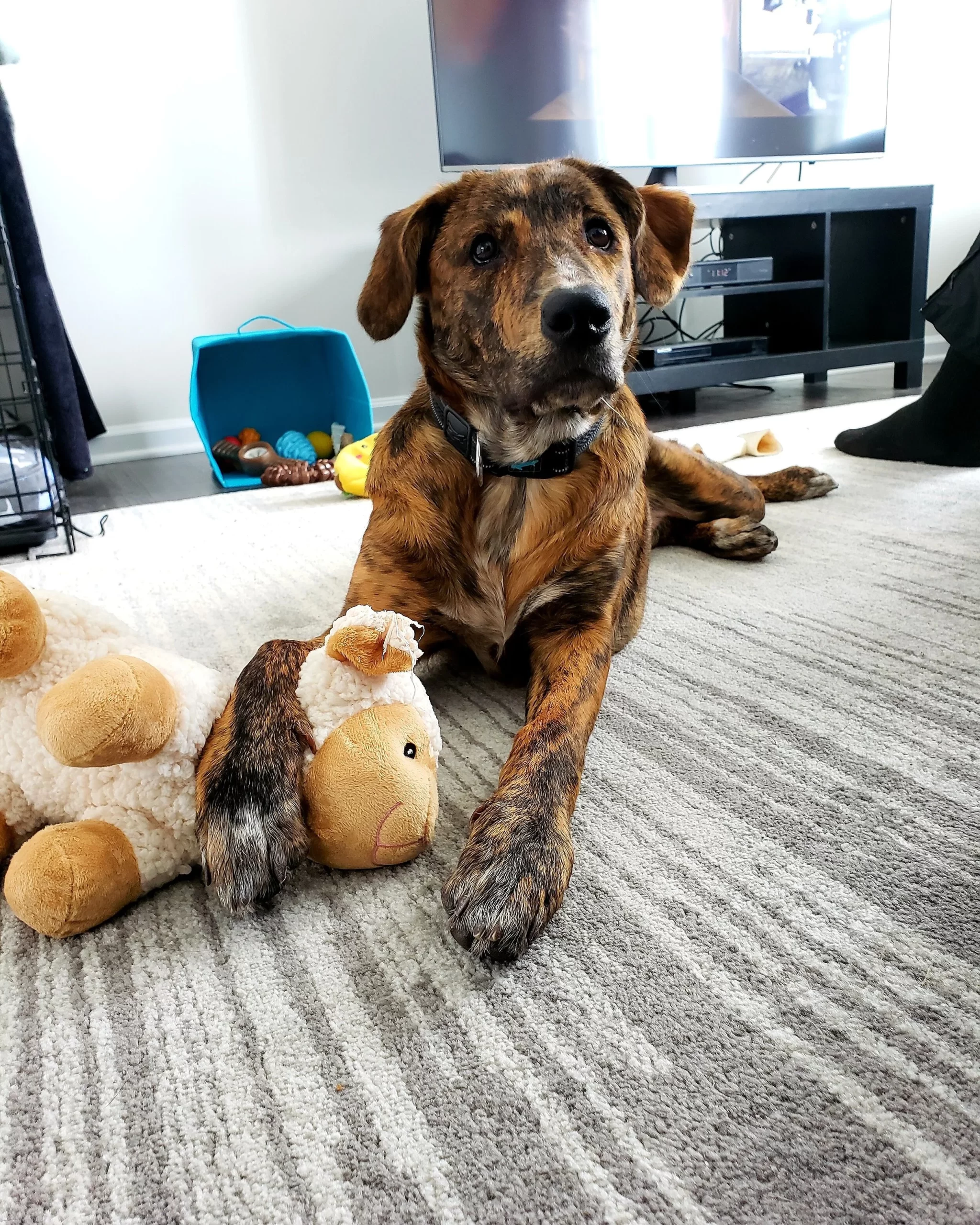 Photo+Jan+18,+11+07+17+PM