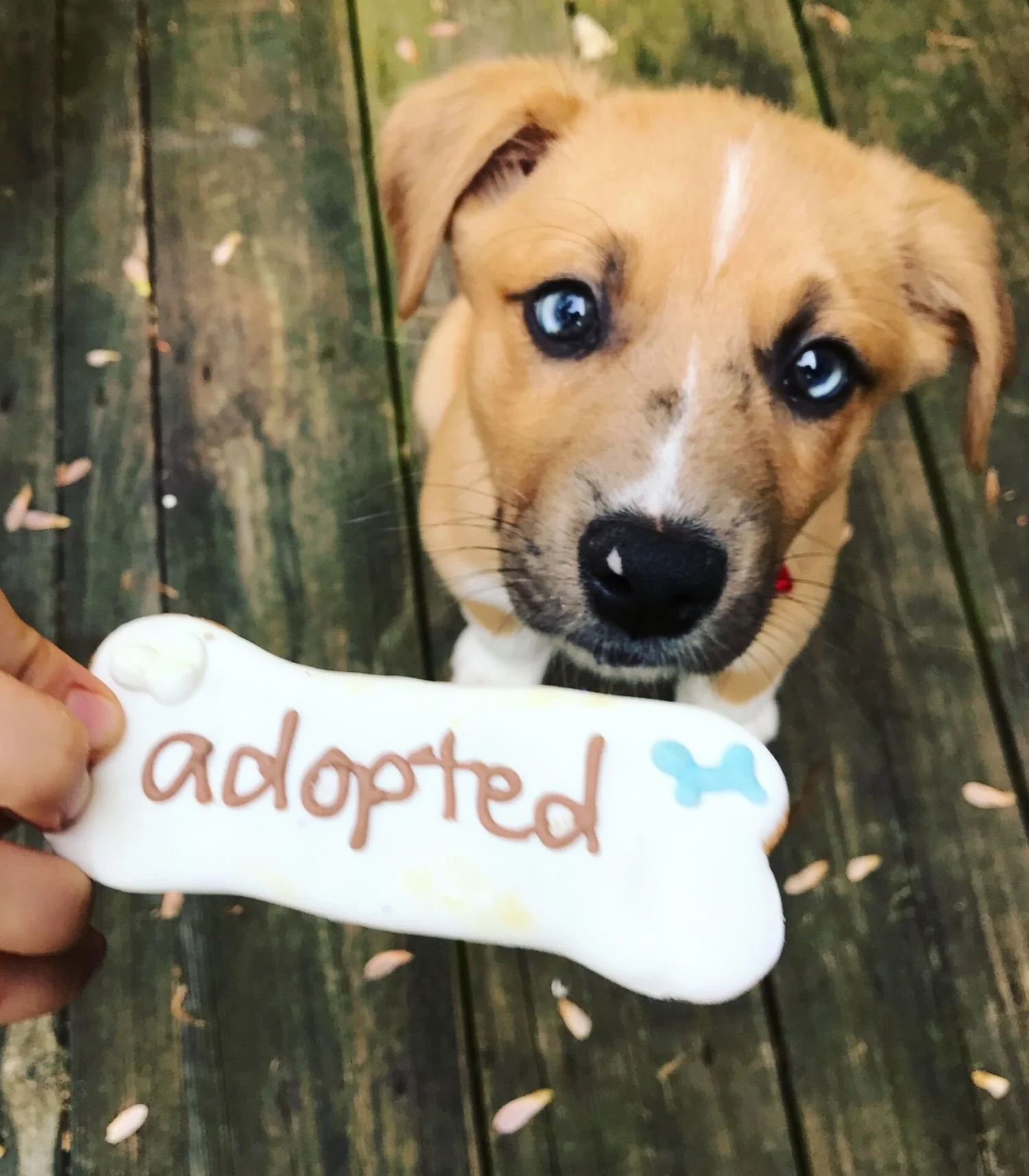 Photo+Jan+18,+5+18+15+PM