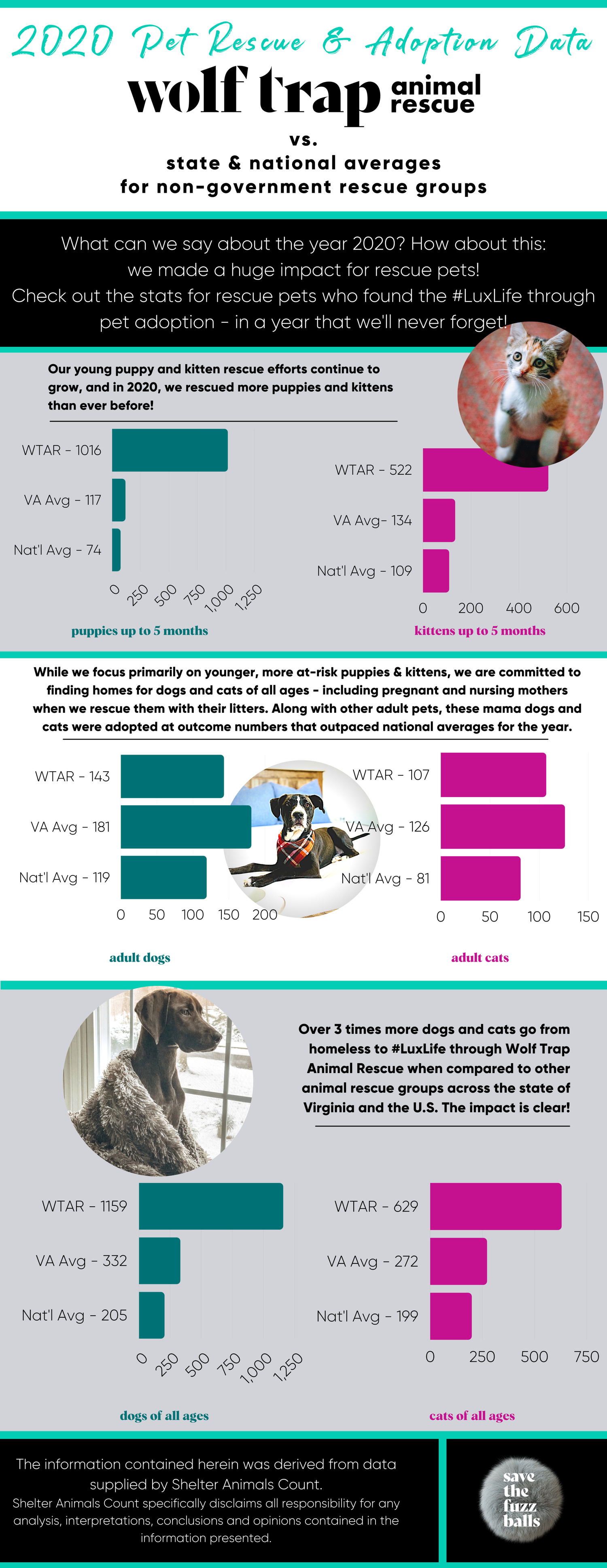2020+SAC+impact+Infographic