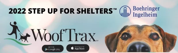 3B12CCB6-4203-4404-8AB1-981E7F46BEFD