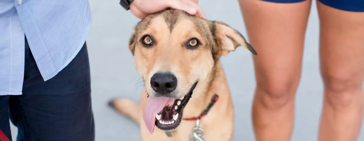 Angie+-+96E147DC-B86A-4E87-8932-BD71403D935F